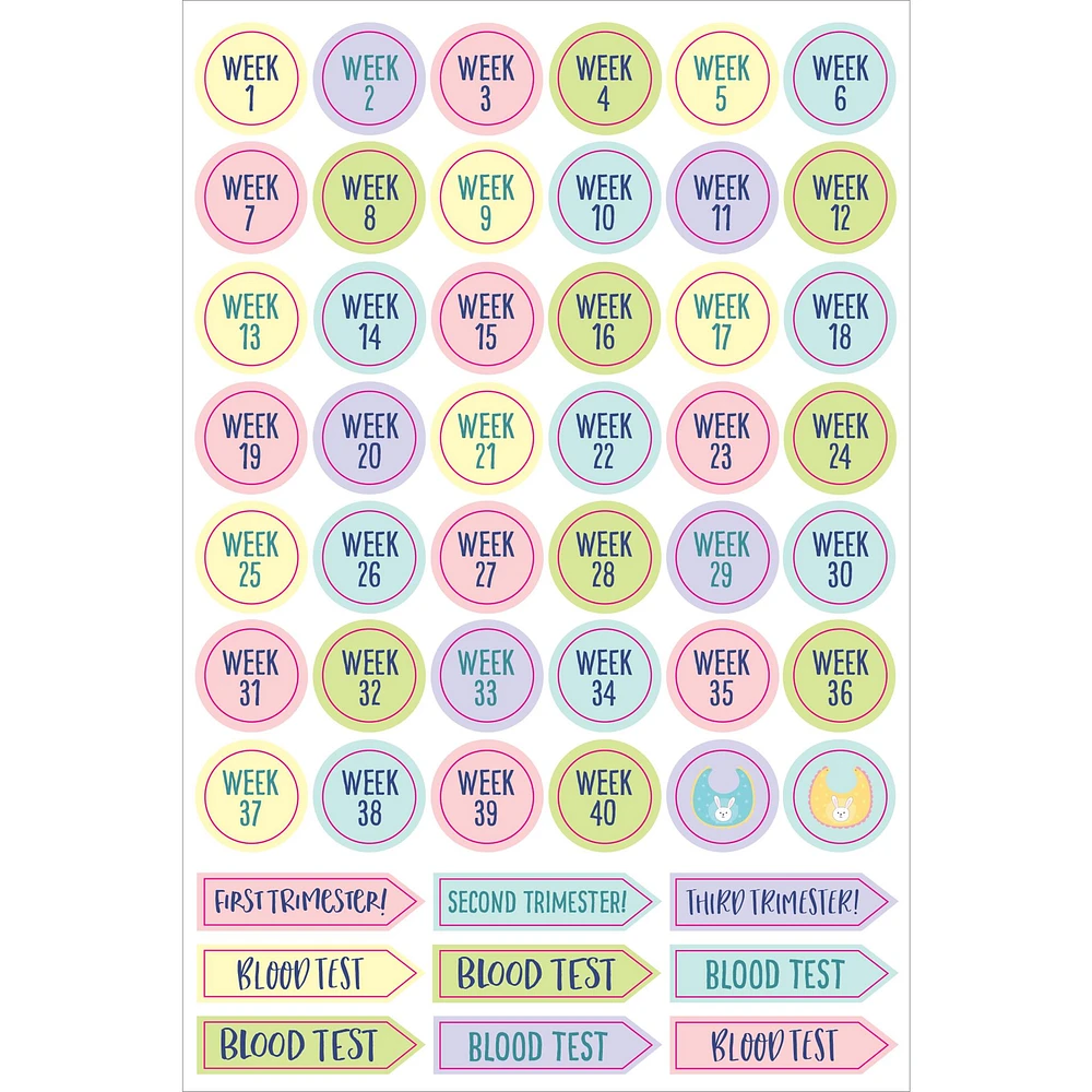 Pregnancy and Babys 1st Year Planner Stickers