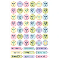 Pregnancy and Babys 1st Year Planner Stickers