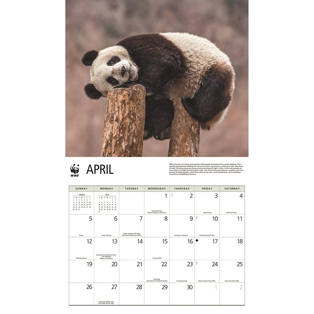World Wildlife Fund Giant Pandas  2026 Wall Calendar