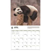World Wildlife Fund Giant Pandas  2026 Wall Calendar