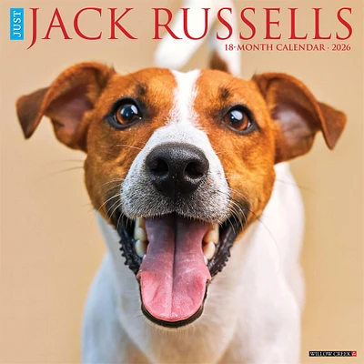 Just Jack Russells 2026 Wall Calendar