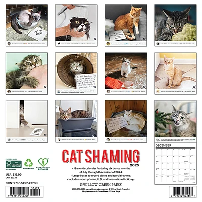 Cat Shaming Wall 2025 Calendar