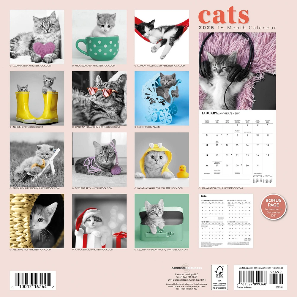 Classic Cats Wall 2025 Calendar