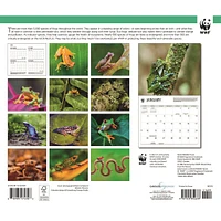 World Wildlife Fund Frogs 2026 Wall Calendar