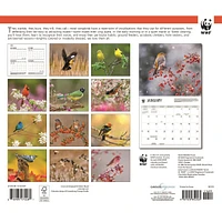 World Wildlife Fund Songbirds 2026 Wall Calendar
