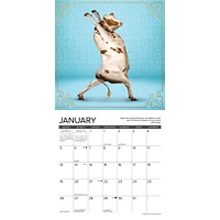 Cow Yoga Mini 2025 Calendar