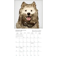 Dogma 2026 Mini Calendar