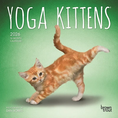Yoga Kittens 2026 Mini Calendar