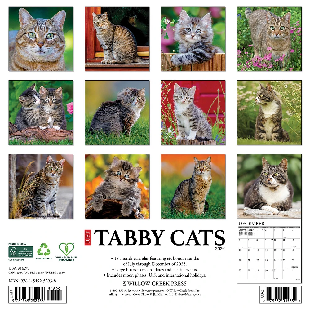Just Tabby Cats 2026 Wall Calendar - Online Exclusive