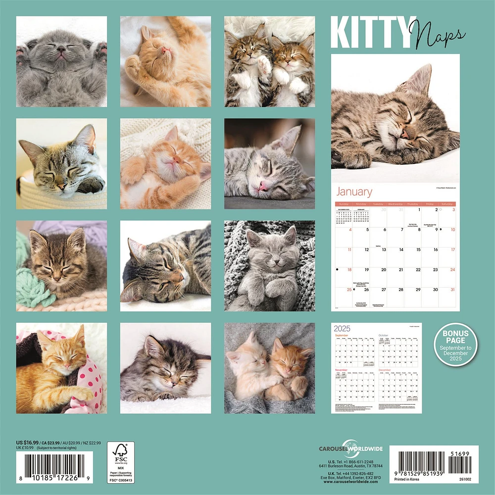 Kitty Naps 2026 Wall Calendar
