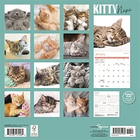 Kitty Naps 2026 Wall Calendar