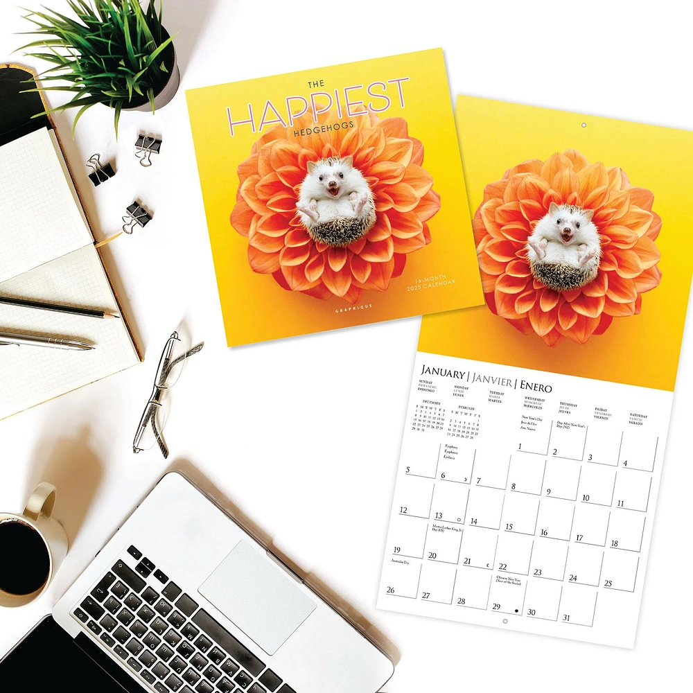 Happiest Hedgehogs Mini 2025 Calendar