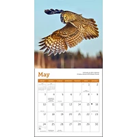 Owls 2026 Mini Calendar