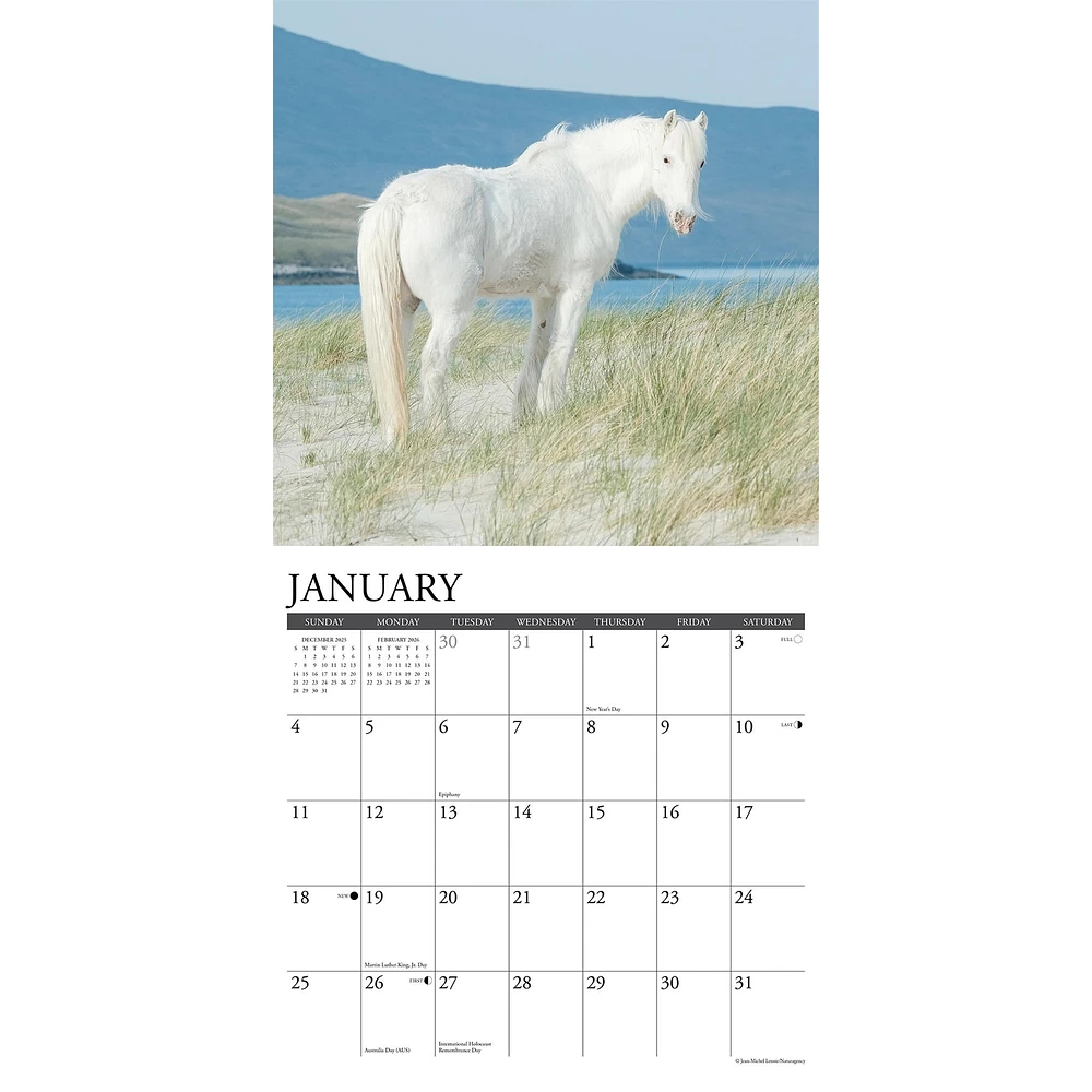 Wild Horses 2026 Wall Calendar