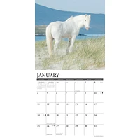 Wild Horses 2026 Wall Calendar