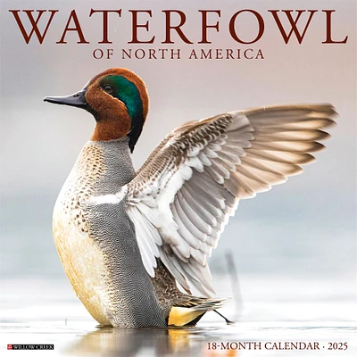 Waterfowl Wall 2025 Calendar