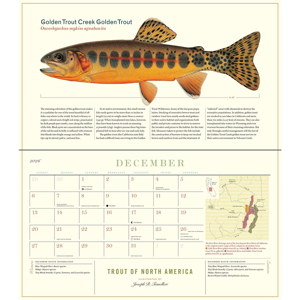 Trout Of North America 2026 Wall Calendar