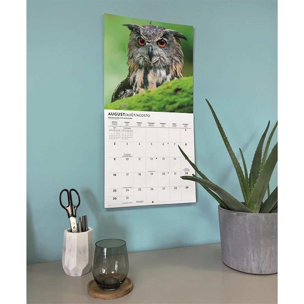 Owls 2026 Wall Calendar