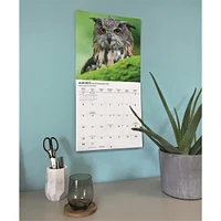 Owls 2026 Wall Calendar