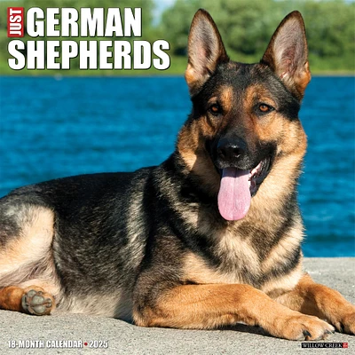 Just German Shepherds Wall 2025 Calendar