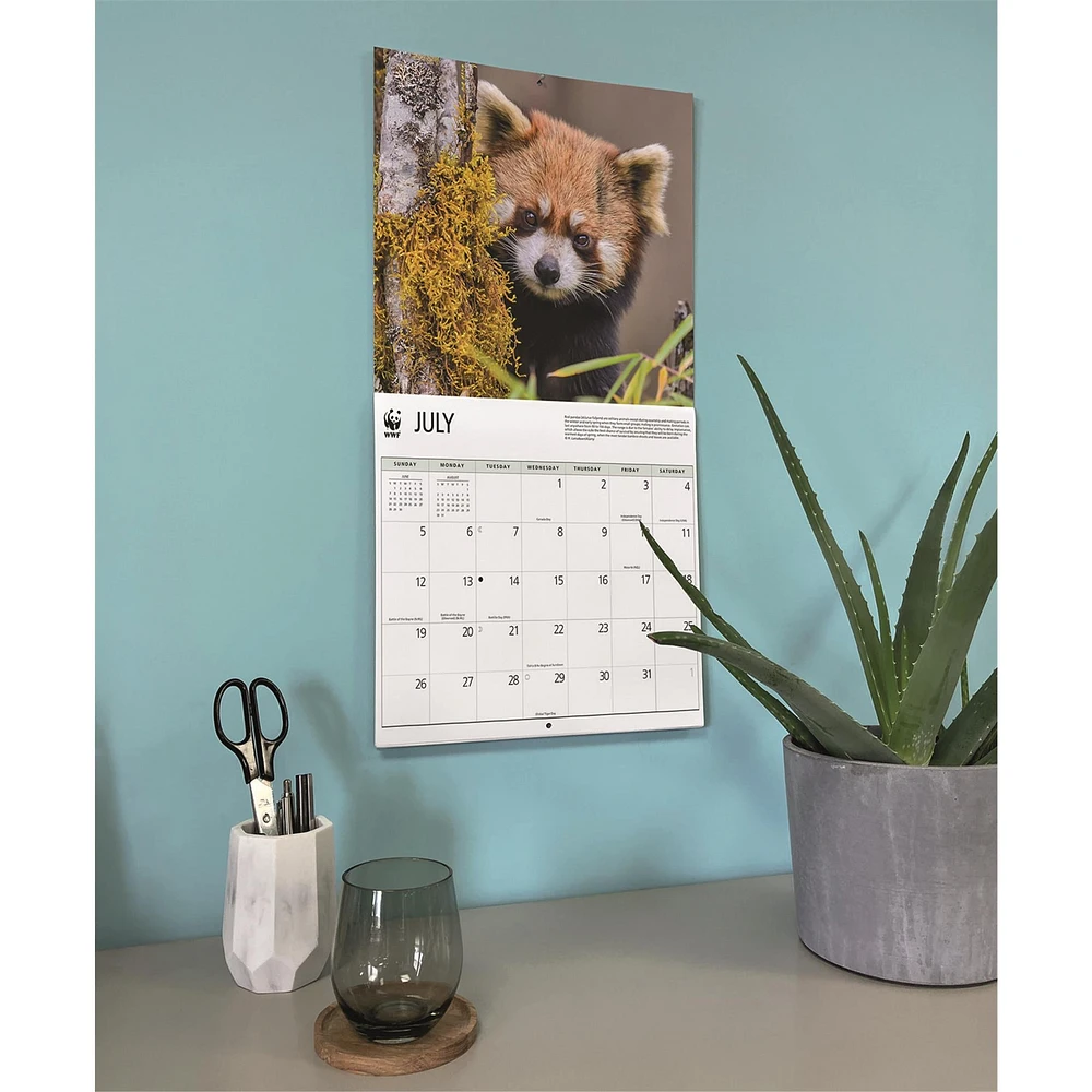World Wildlife Fund Red Pandas  2026 Wall Calendar
