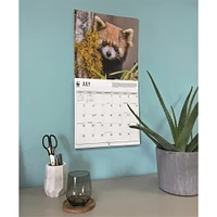World Wildlife Fund Red Pandas  2026 Wall Calendar