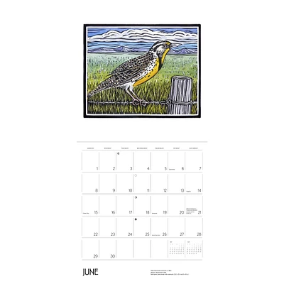 Molly Hashimoto Birds Wall 2025 Calendar