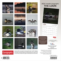 Canadian Geographic Loon 2026 Wall Calendar - Online Exclusive