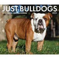 Just Bulldogs Box 2025 Calendar - Online Exclusive