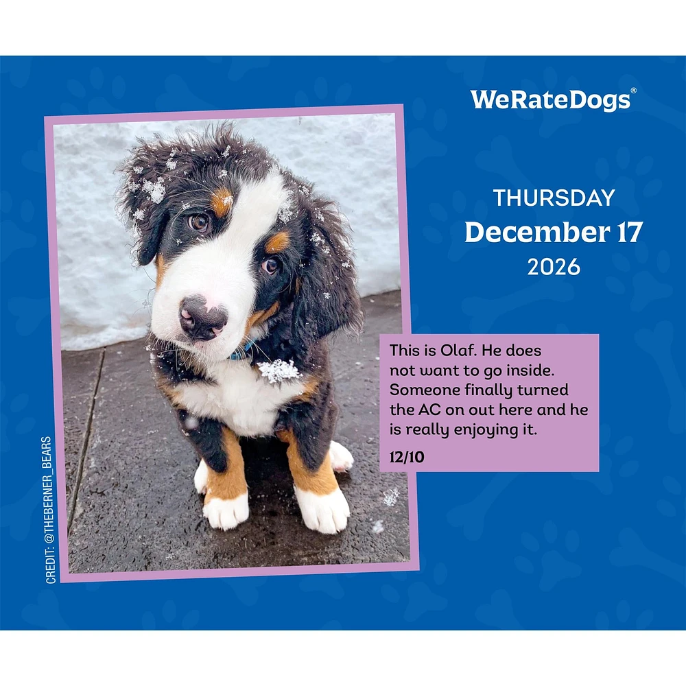 Weratedogs 2026 Box Calendar