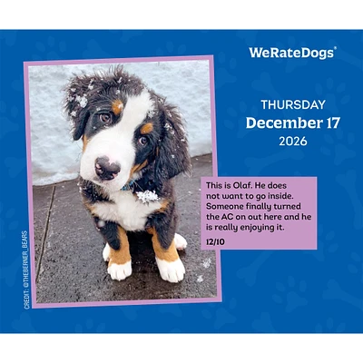 Weratedogs 2026 Box Calendar
