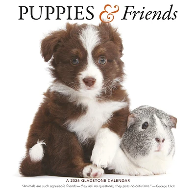 Puppies And Friends Wall  2026 Calendar
