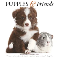 Puppies And Friends Wall  2026 Calendar