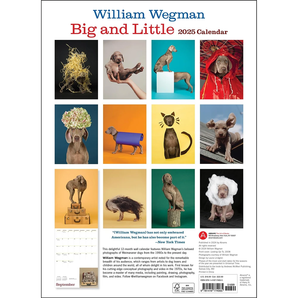 William Wegman Big And Little Wall 2025 Calendar