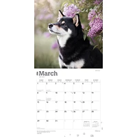 Shiba Inu 2026 Wall Calendar - Online Exclusive