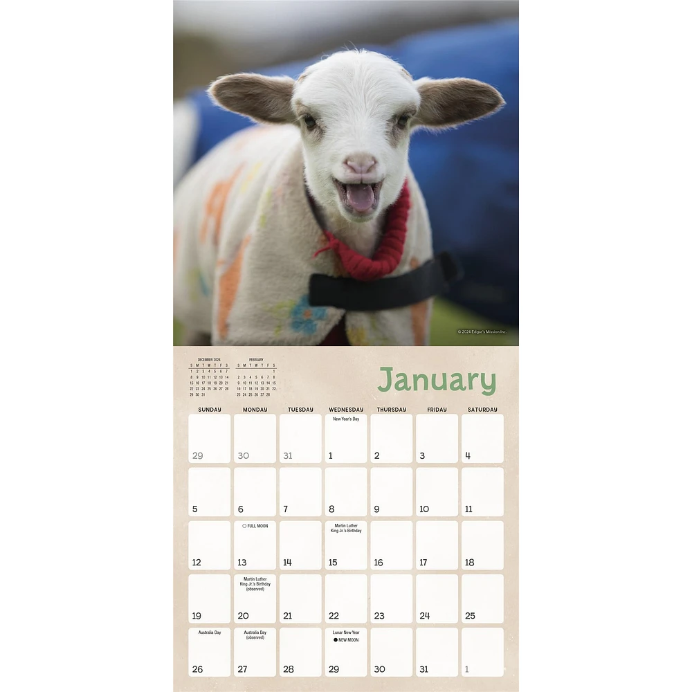 Lambies In Jammies And Goats In Coats Mini 2025 Calendar