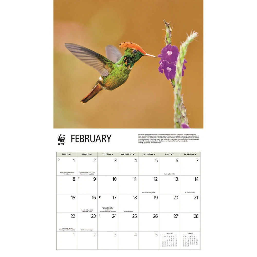 World Wildlife Fund Hummingbirds 2026 Wall Calendar