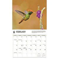 World Wildlife Fund Hummingbirds 2026 Wall Calendar