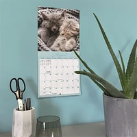 Naptime 2026 Mini Calendar