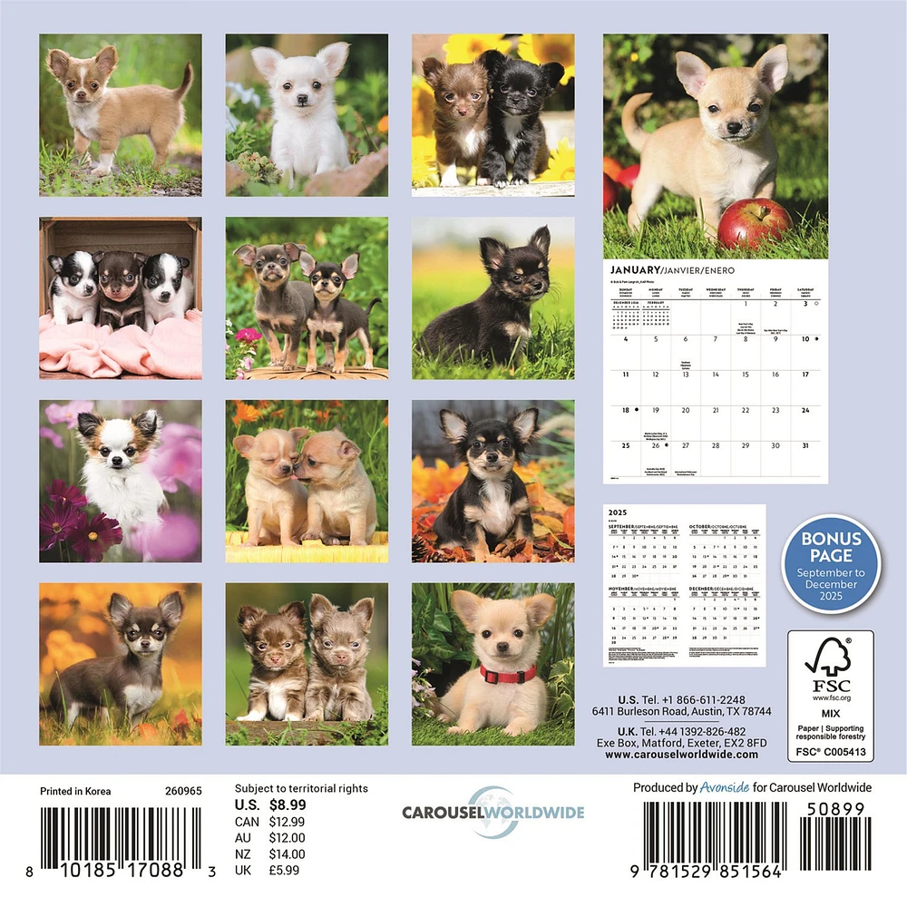 Chihuahua Puppies 2026 Mini Calendar