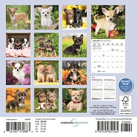 Chihuahua Puppies 2026 Mini Calendar