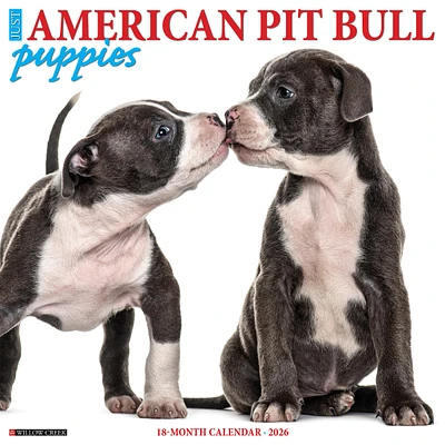 Just  American Pit Bull Terrier Puppies 2026 Wall Calendar - Online Exclusive
