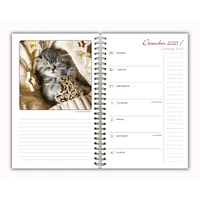 Cat Naps 2026 Engagement Calendar