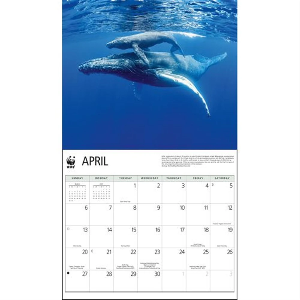 Baby Animals World Wildlife Fund Wall 2025 Calendar