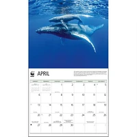 Baby Animals World Wildlife Fund Wall 2025 Calendar