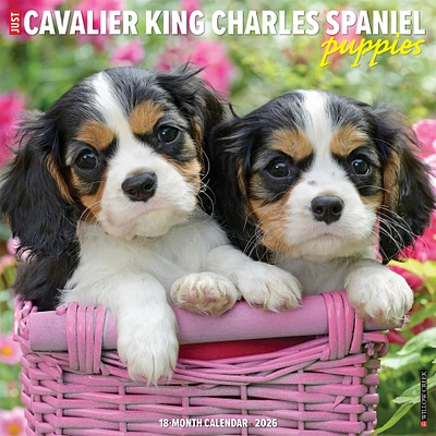 Just Cavalier King Charles Spaniel Puppies 2026 Wall Calendar - Online Exclusive
