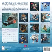 Underwater Dogs 2026 Wall Calendar