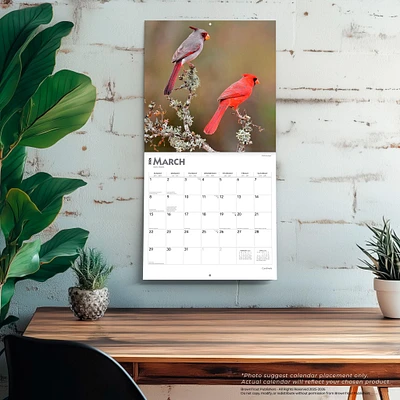 Cardinals 2026 Wall Calendar