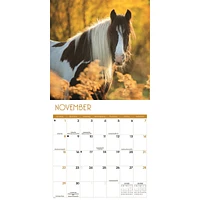 Horses 2026 Wall Calendar
