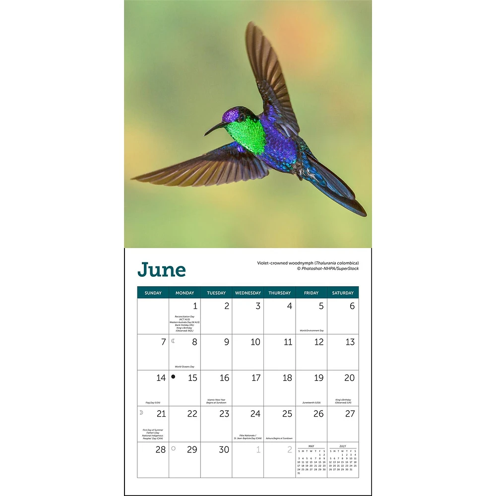 Hummingbirds 2026 Mini Calendar